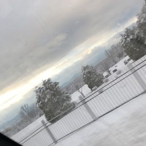 Meet your Posher, Jadyn